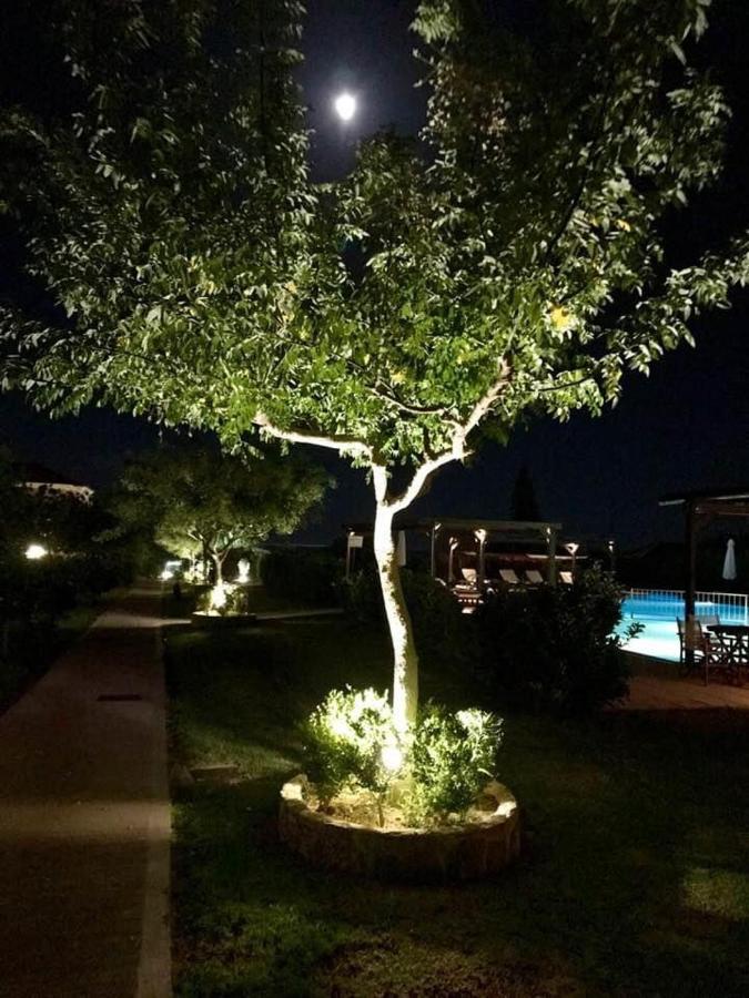 Boutique Hotel Ileas Village Arkoudi Ngoại thất bức ảnh