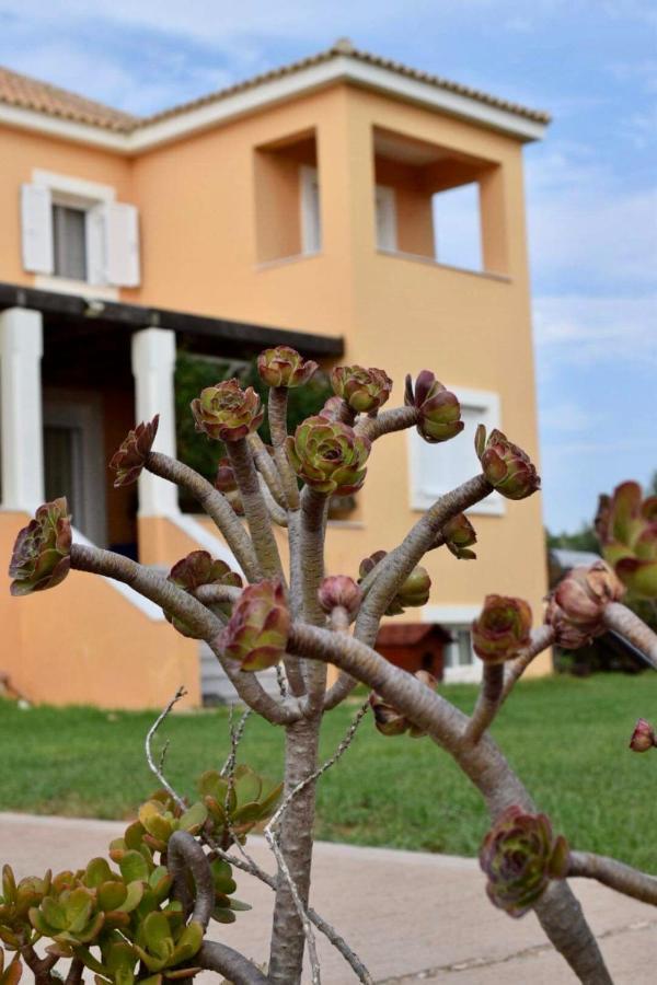 Boutique Hotel Ileas Village Arkoudi Ngoại thất bức ảnh